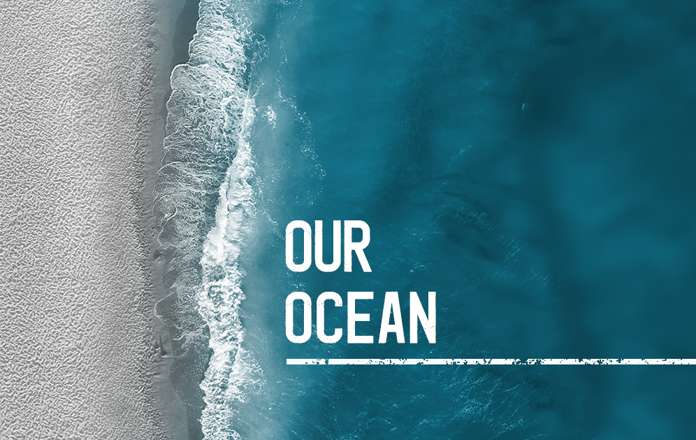 Ocean Action Agenda Case Study from Signal Group