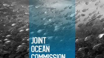 Ocean Action Agenda case study Signal Group