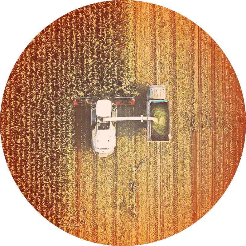 Case Study - Agriculture